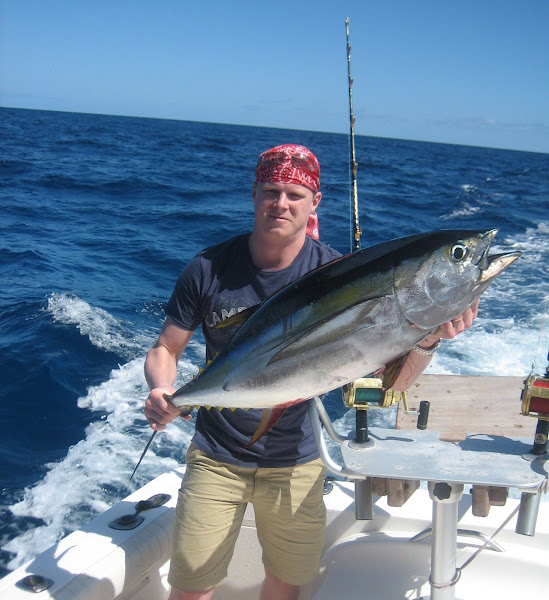 Yellowfin tuna