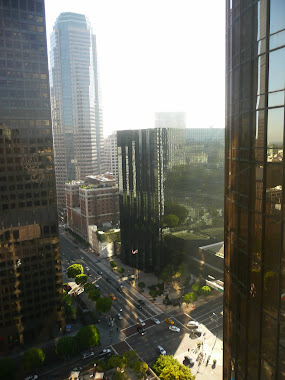LA Downtown from Hotel 2010