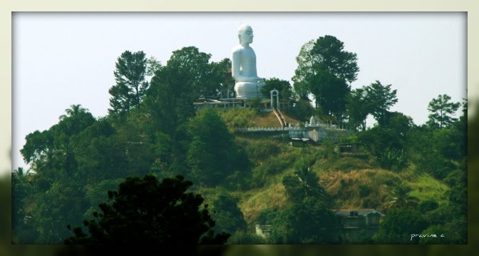 Kandy4717m.jpg
