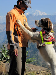 Partners in service of SAR