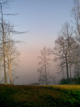 Mist at Dawn on the lake...