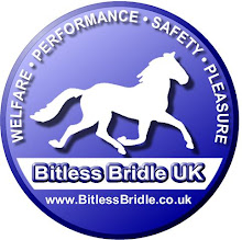 Bitless Bridle UK