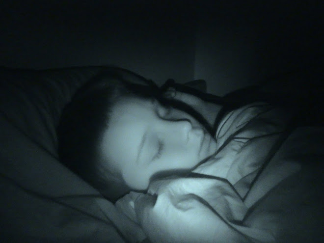 Boden, all snug in his bed