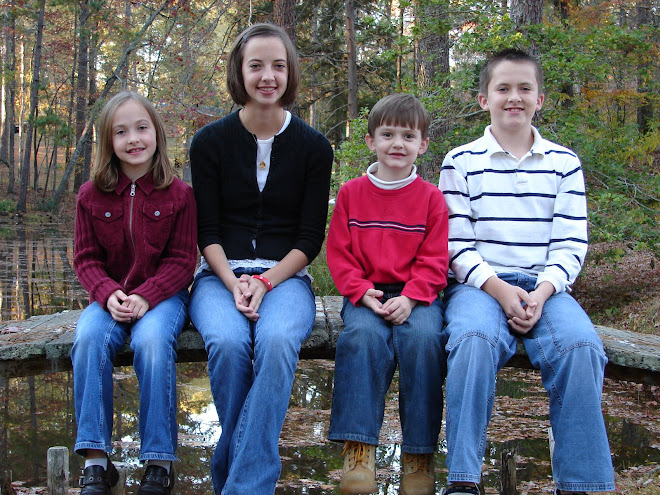 fireflies, frogs, and mosquitos... oh my!