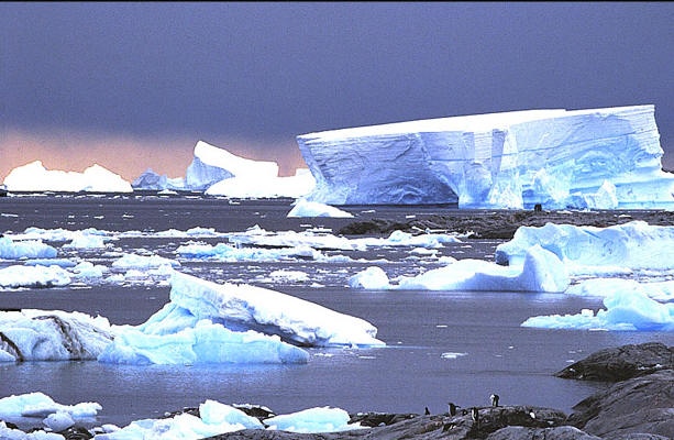 [Antarctica.jpg]
