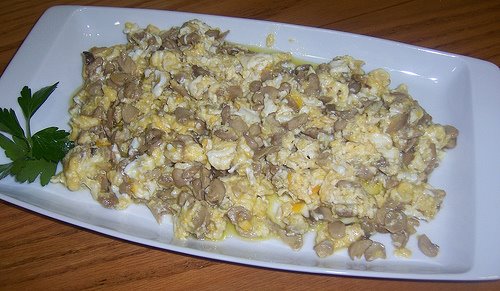 [Revuelto+Perrechicos.jpg]