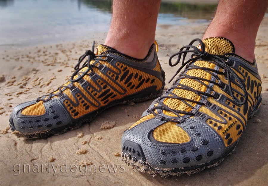 Gnarlydog News GEAR paddling shoes review.