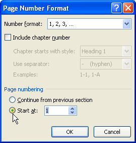 page number format window
