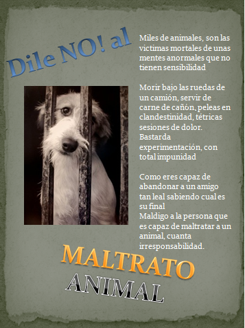 NO al Maltrato Animal: Texto publicitario.
