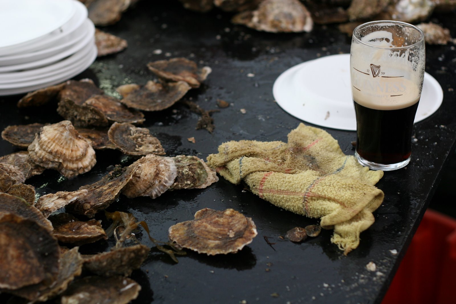 [oysters+and+stout.JPG]