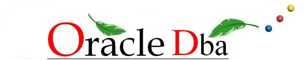 Oracle DBA's Blog