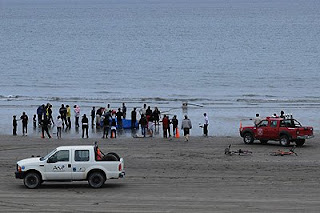 Rescate de delfin en la Playa de Puerto Piramides