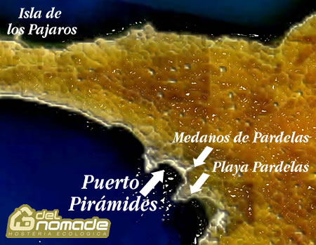 Mapa general del area de Puerto Pirámides Pardelas e Isla de los Pajaros Mapa general del area de Puerto Pirámides Pardelas e Isla de los Pajaros