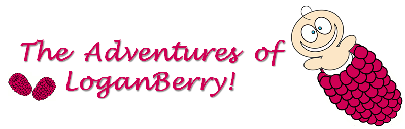 The Adventures of LoganBerry