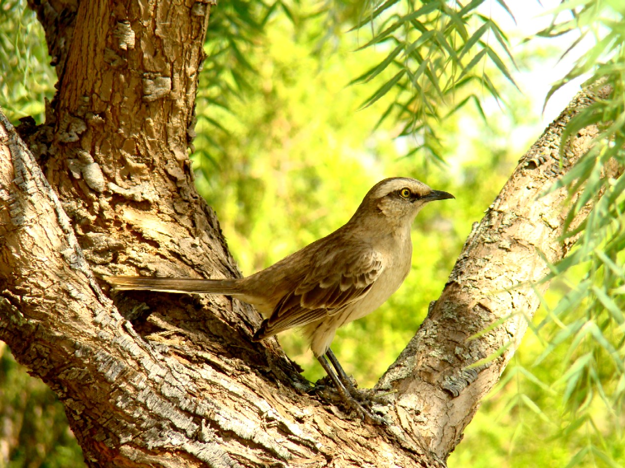 [Ibirá+08-08+355.jpg]