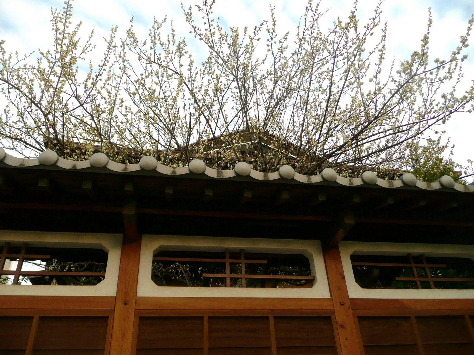 [P1060205.JPG]