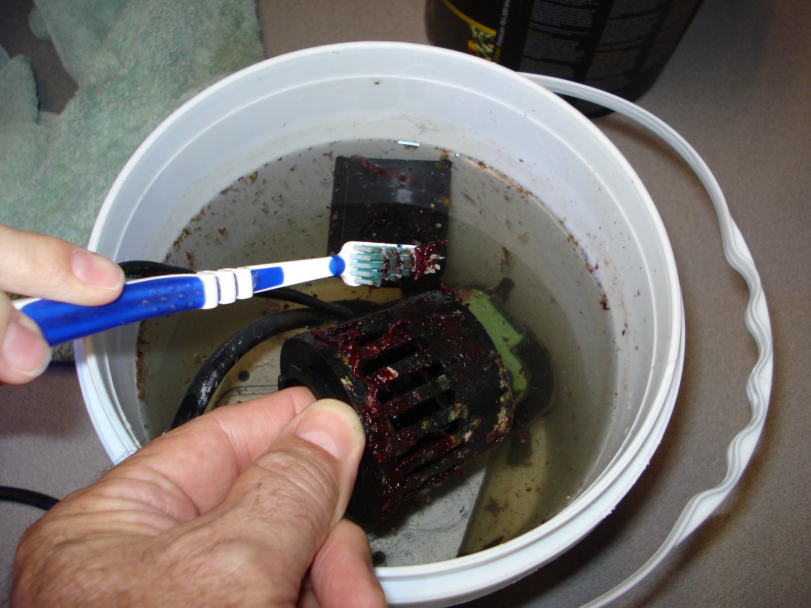 7 Cool Tools to Clean Your Dirty Reef Tank Marine Depot Blog