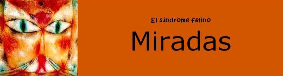 sindromemiradas2