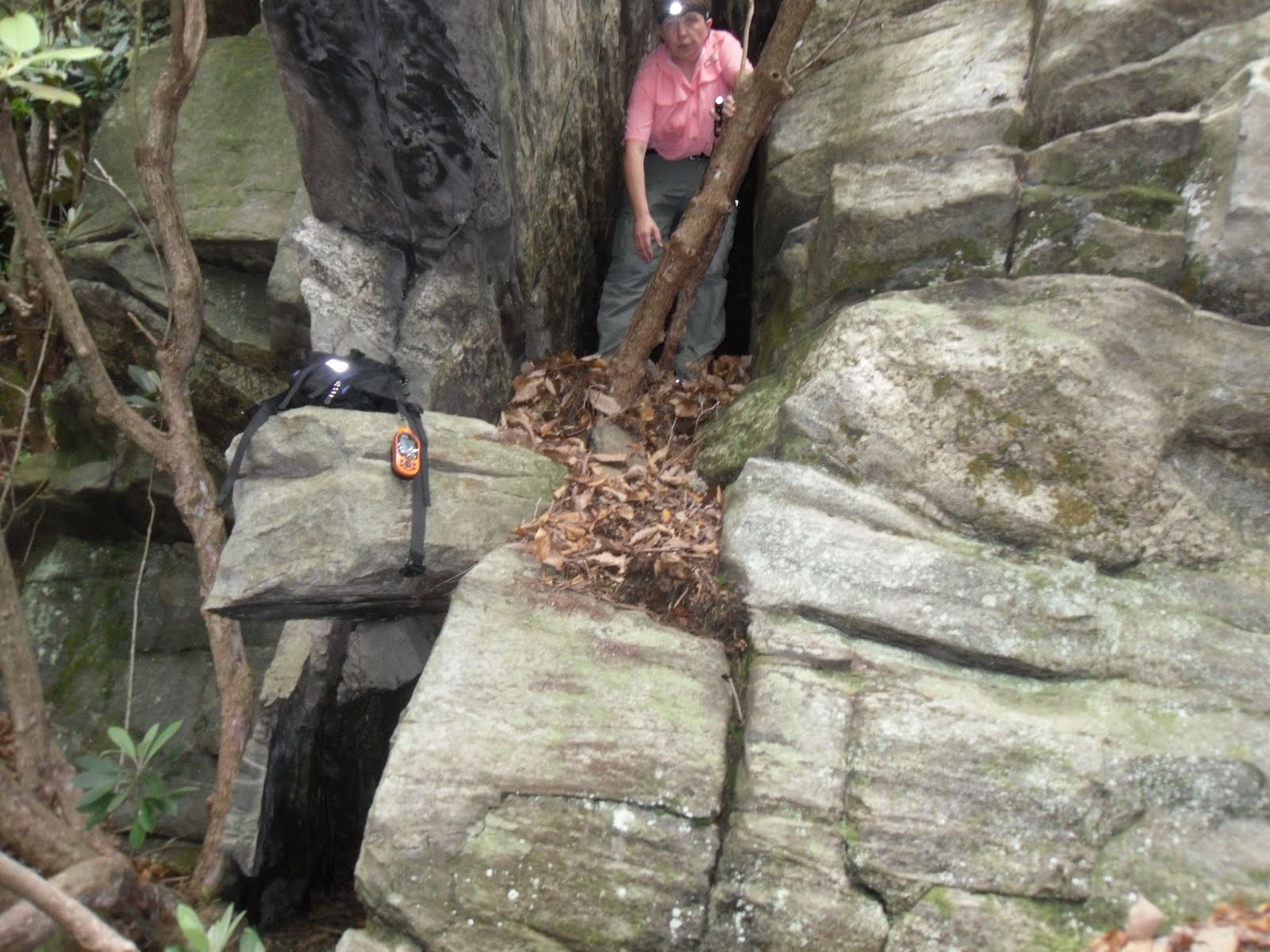 My Carolina Backyard Bat Cave & Lake Lure