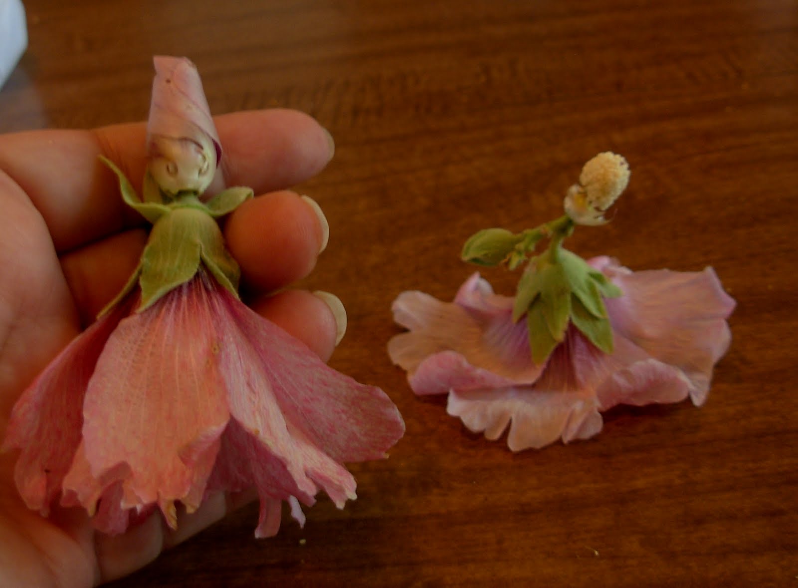 Time In A Blogttle HOLLYHOCK DOLLS