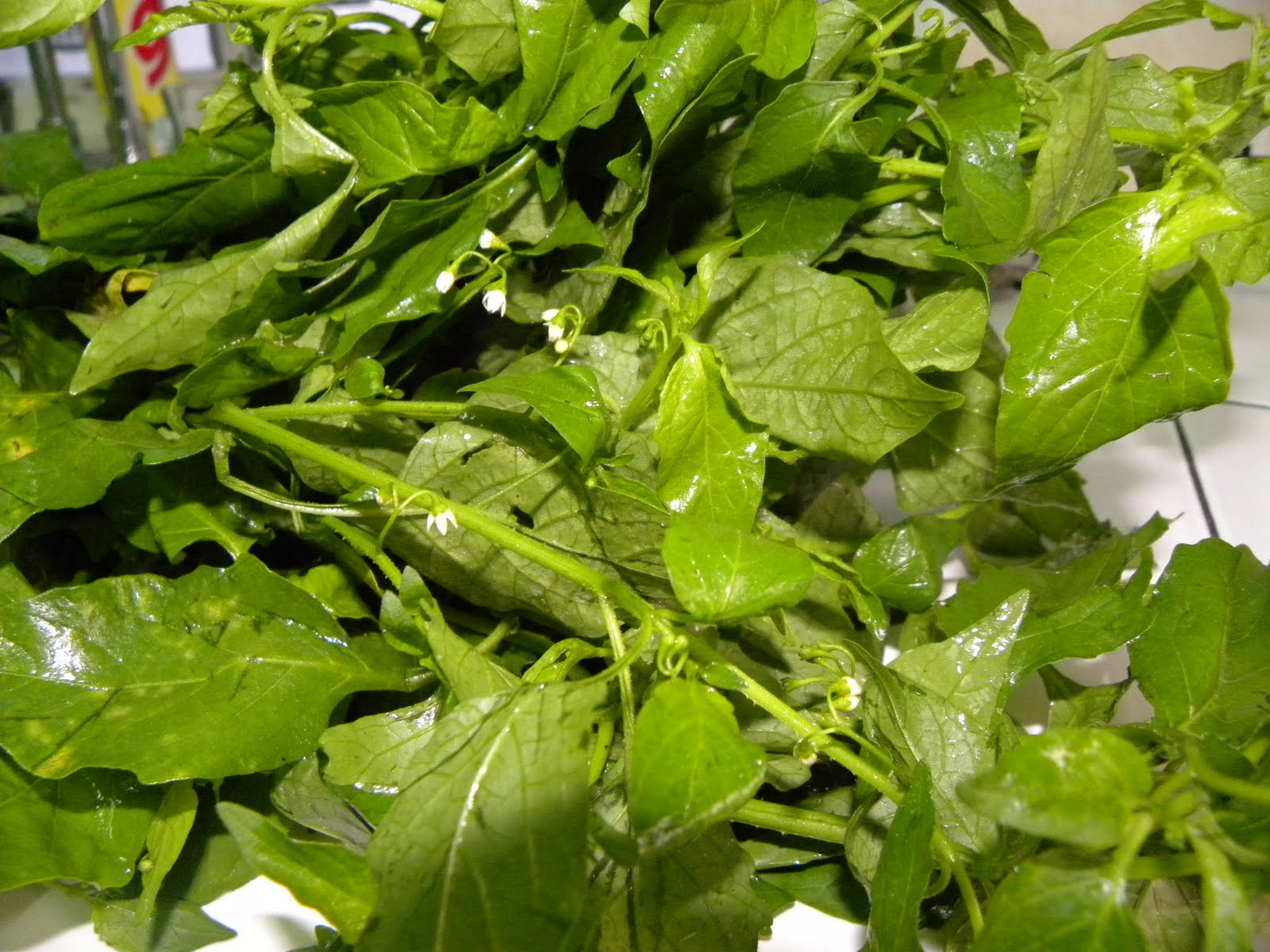 suka main masak-masak: Sayur Lemak Pucuk Meranti