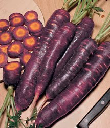 [Image: purple+carrot.jpg]