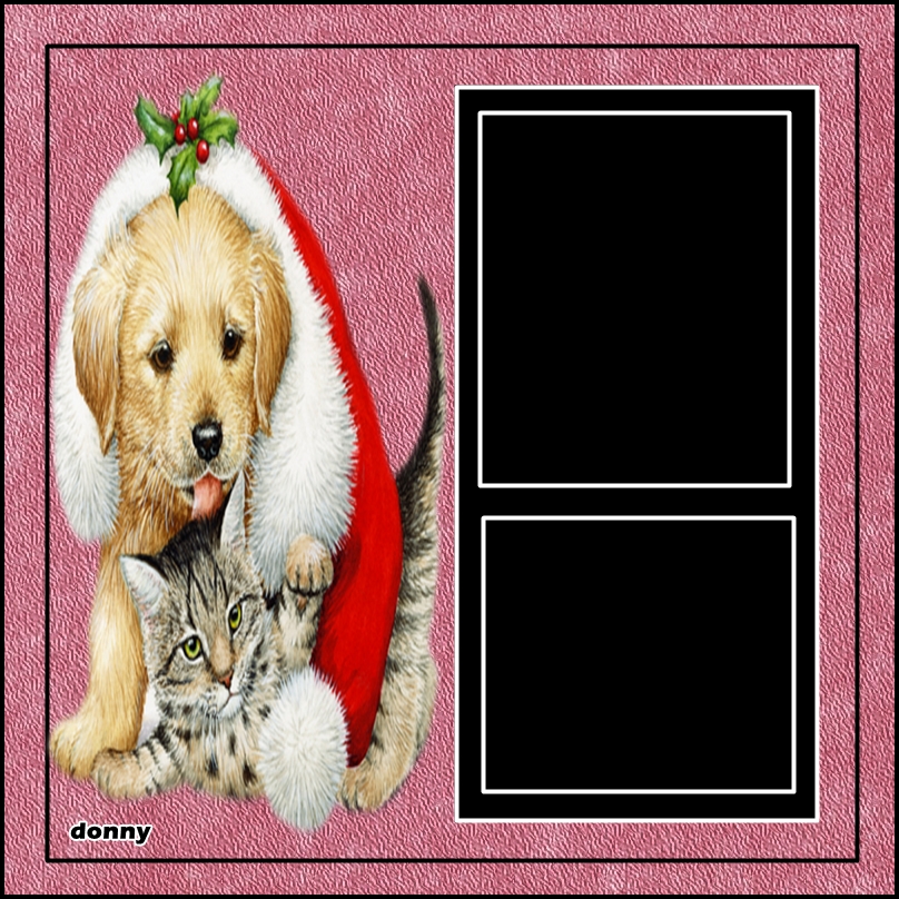 poner cuadritos a las fotos