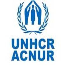 UNHCR - ACNUR