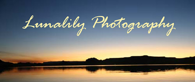 Lunalily Photography
