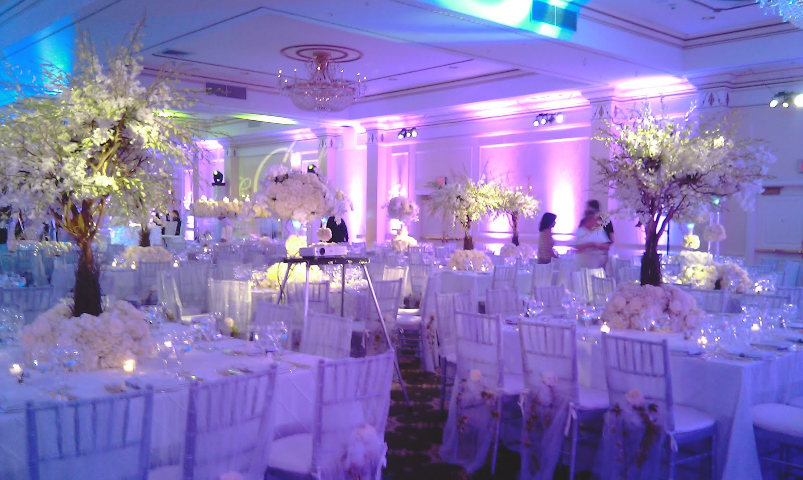 Pure Ambiance Event Planning New Jersey Wedding Planner