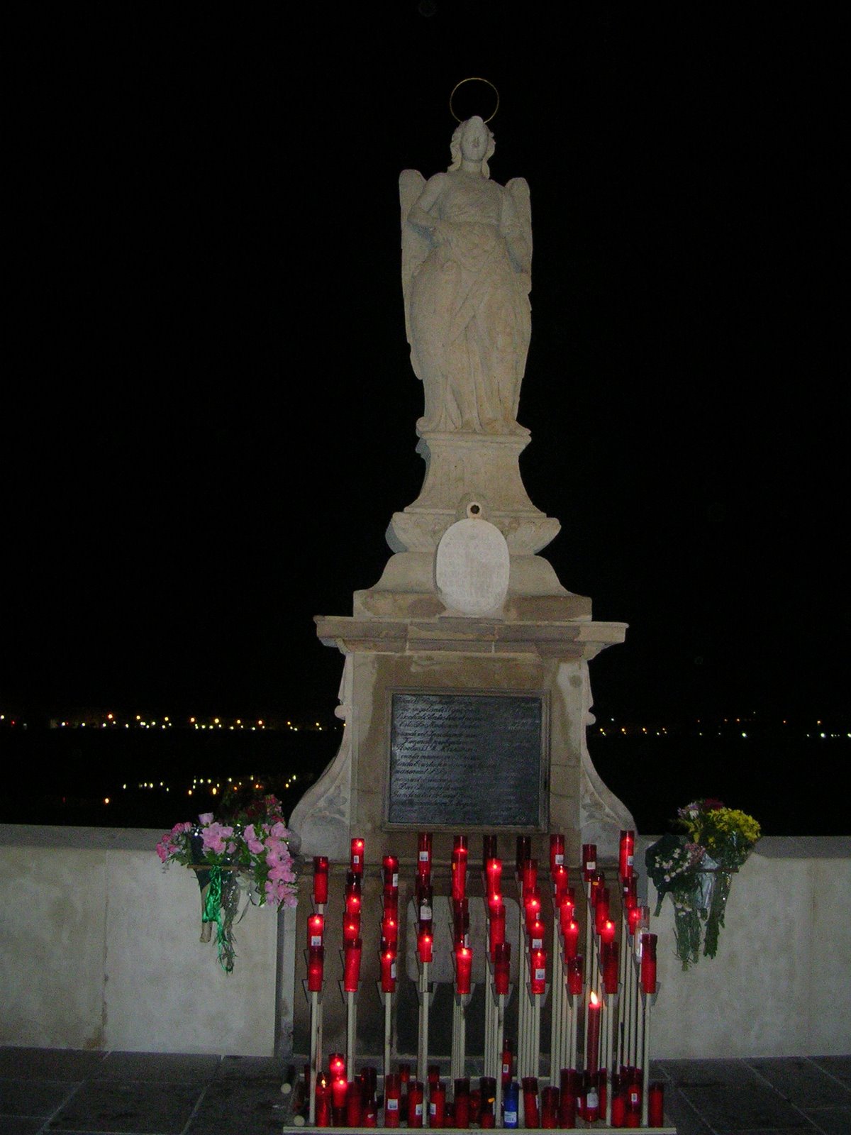[Img3498.JPG]