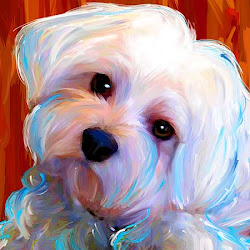 maltese painting dog dogs bailey paintings abstract diamond 5d bichon colorful kit puppy animal artwork embroidery frise puppies pet zimal
