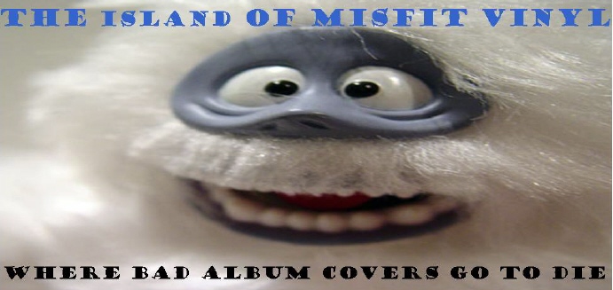 THE ISLAND OF MISFIT VINYL