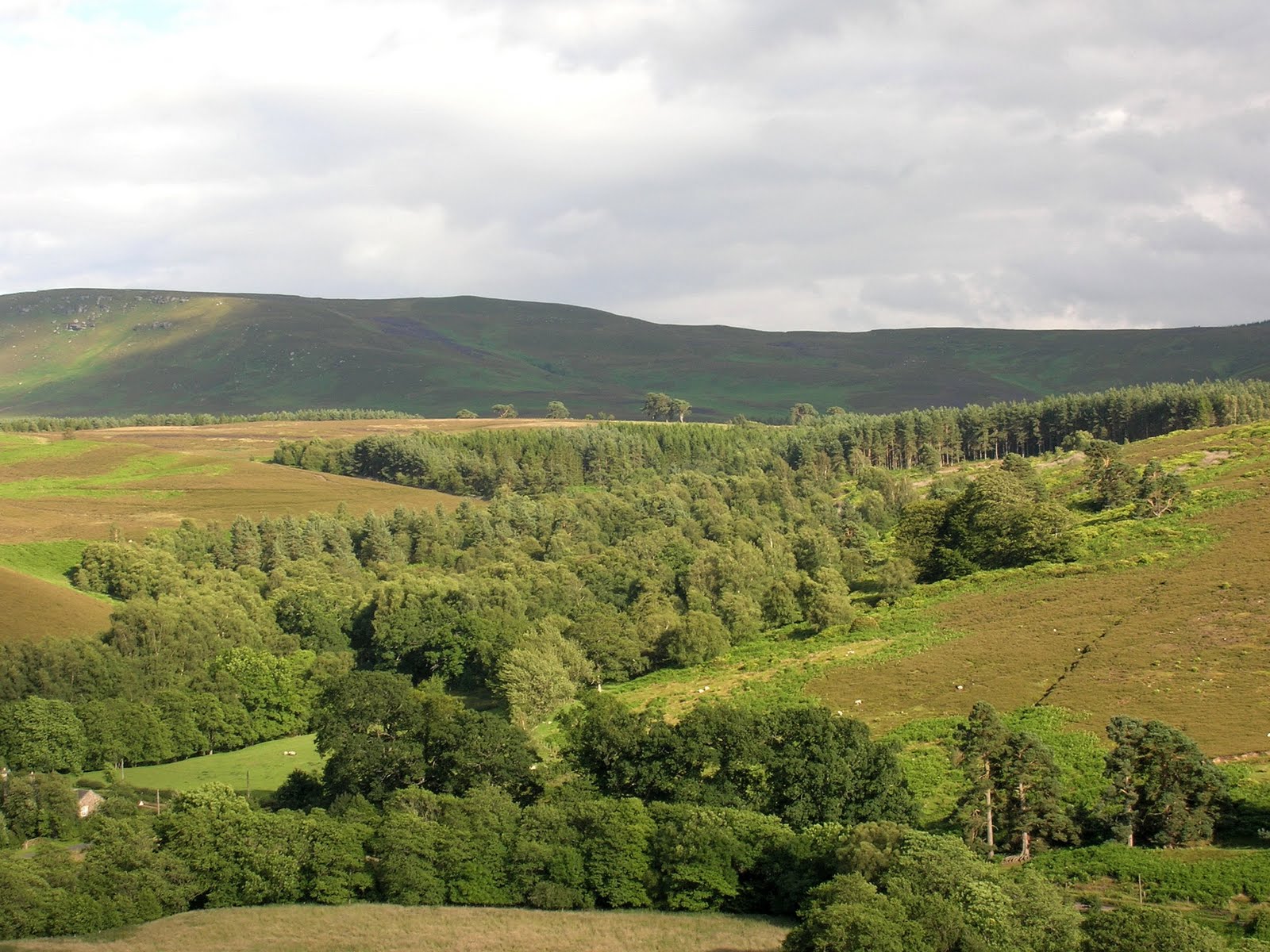 RYECROFT COTTAGE IN THE HEART OF THE NORTHUMBERLAND NATIONAL PARK