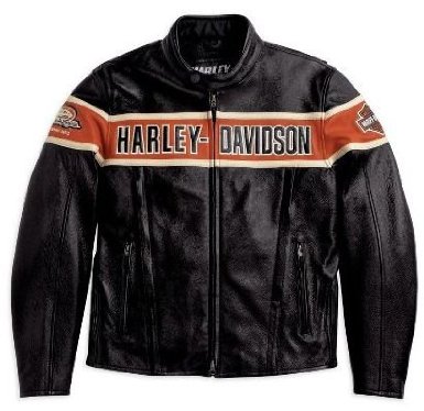 HARLEY DAVIDSON LEATHER JACKET: Harley-Davidson® Men's Thunder Hill ...
