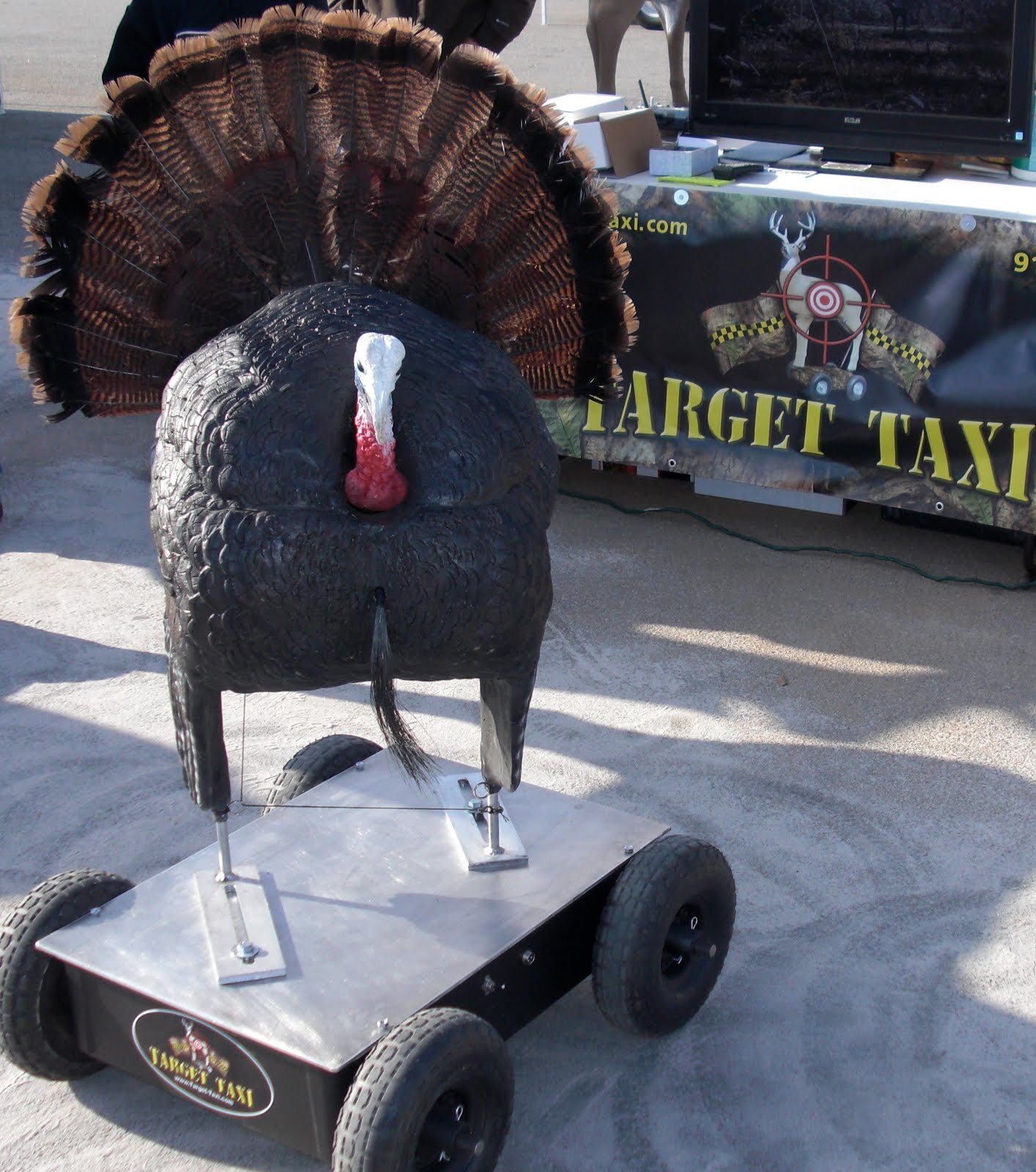 Lowcountry outdoors Palmetto Sportsman Classic Antler Scoring