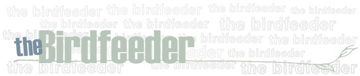 the birdfeeder