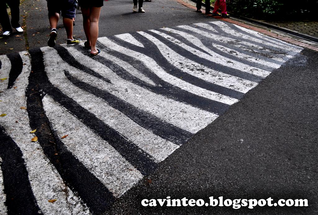 Entree Kibbles The Real Zebra Crossing!