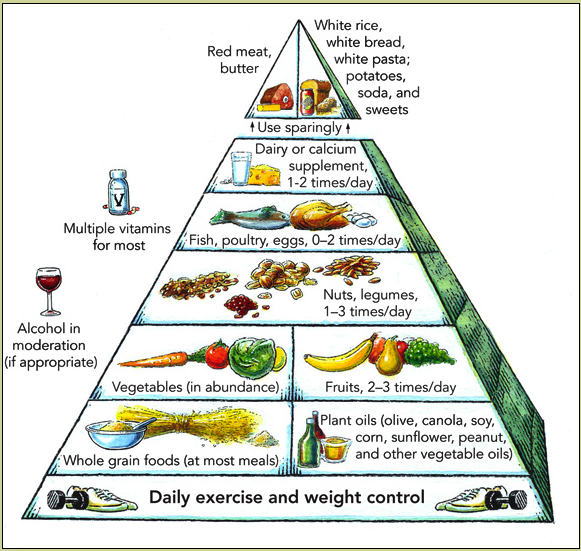 A Healthy Diet -- Food Pyramid | Solid Bloggers