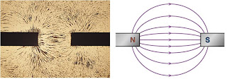 Breaking News: Magnetic Field Pattern (Health and Lifestyle)