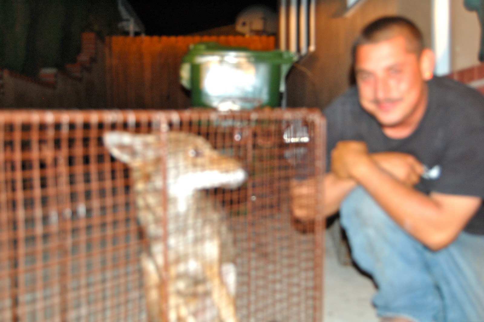 All City Animal Trapping AnimalRemovalinLosAngeles,OrangeCounty