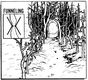 Rabbit Snare – Survive-All