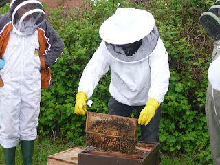 The Naked Beekeeper: The ups of beekeeping!.........