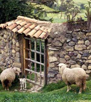 [portedesbrebis.jpg]