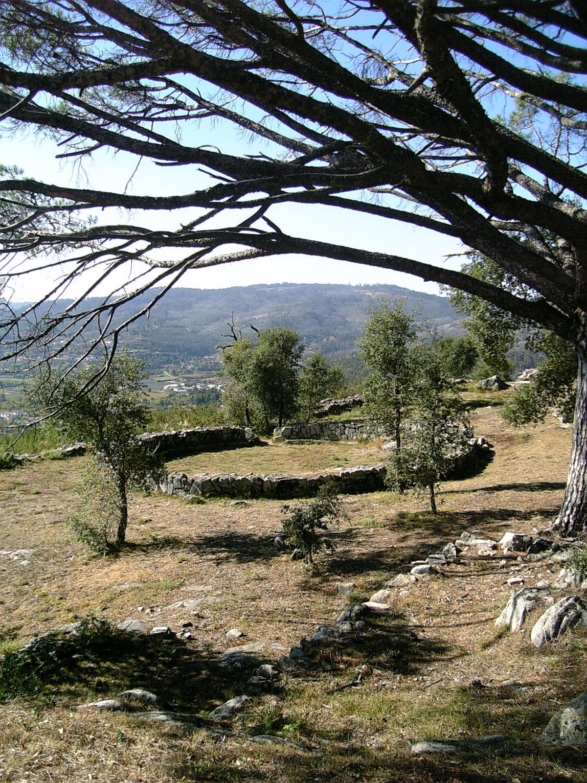 [07-10-20_14-50.jpg]