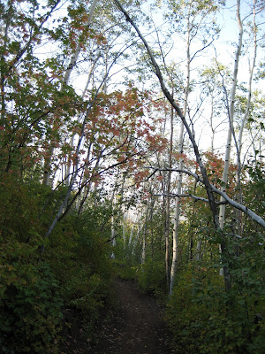 Day 7 – Rest for the Weary