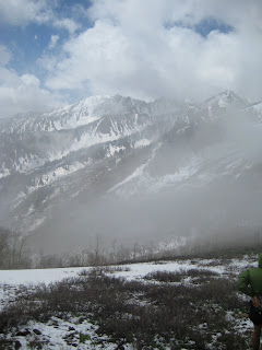 The Week of June 2-8, 2008