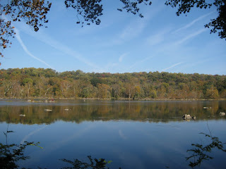 Marathon des Sables Training: Weeks 1-8