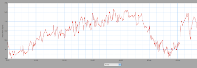 Heat Acclimation for Runners: A Coach’s Analysis