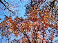 Fall Fun – What's Yours?